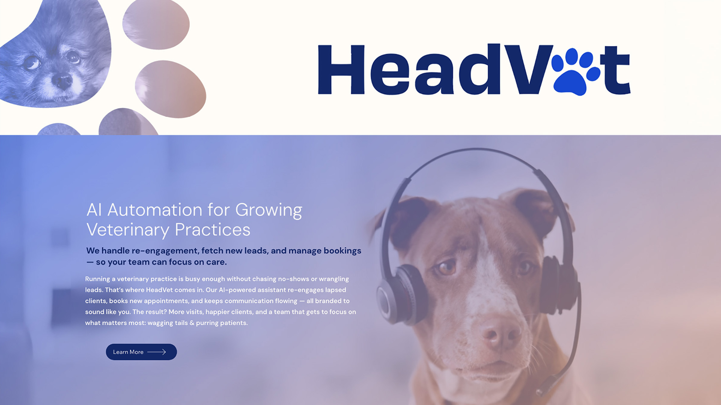 HeadVet primary logo