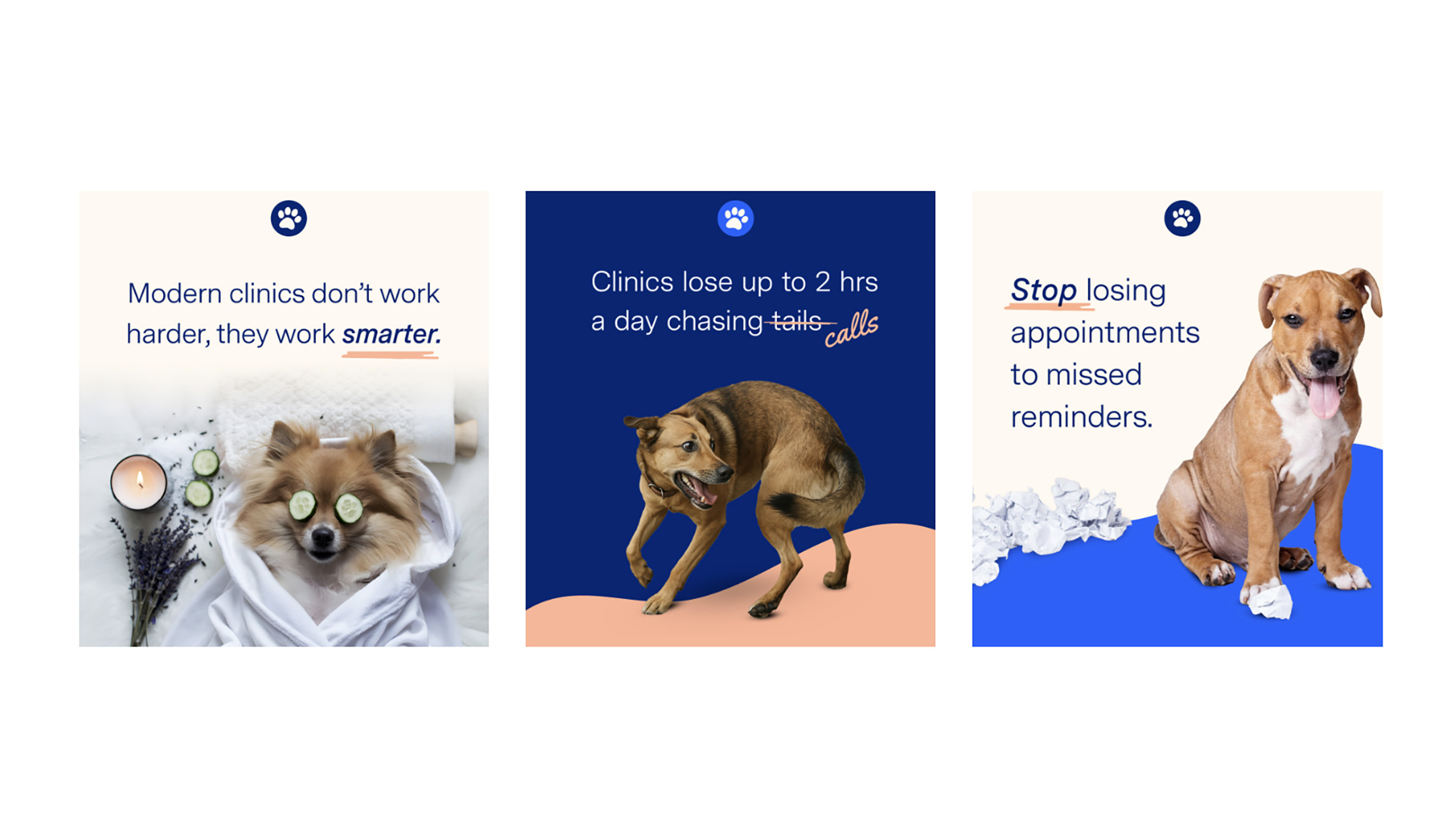 HeadVet social campaign tiles