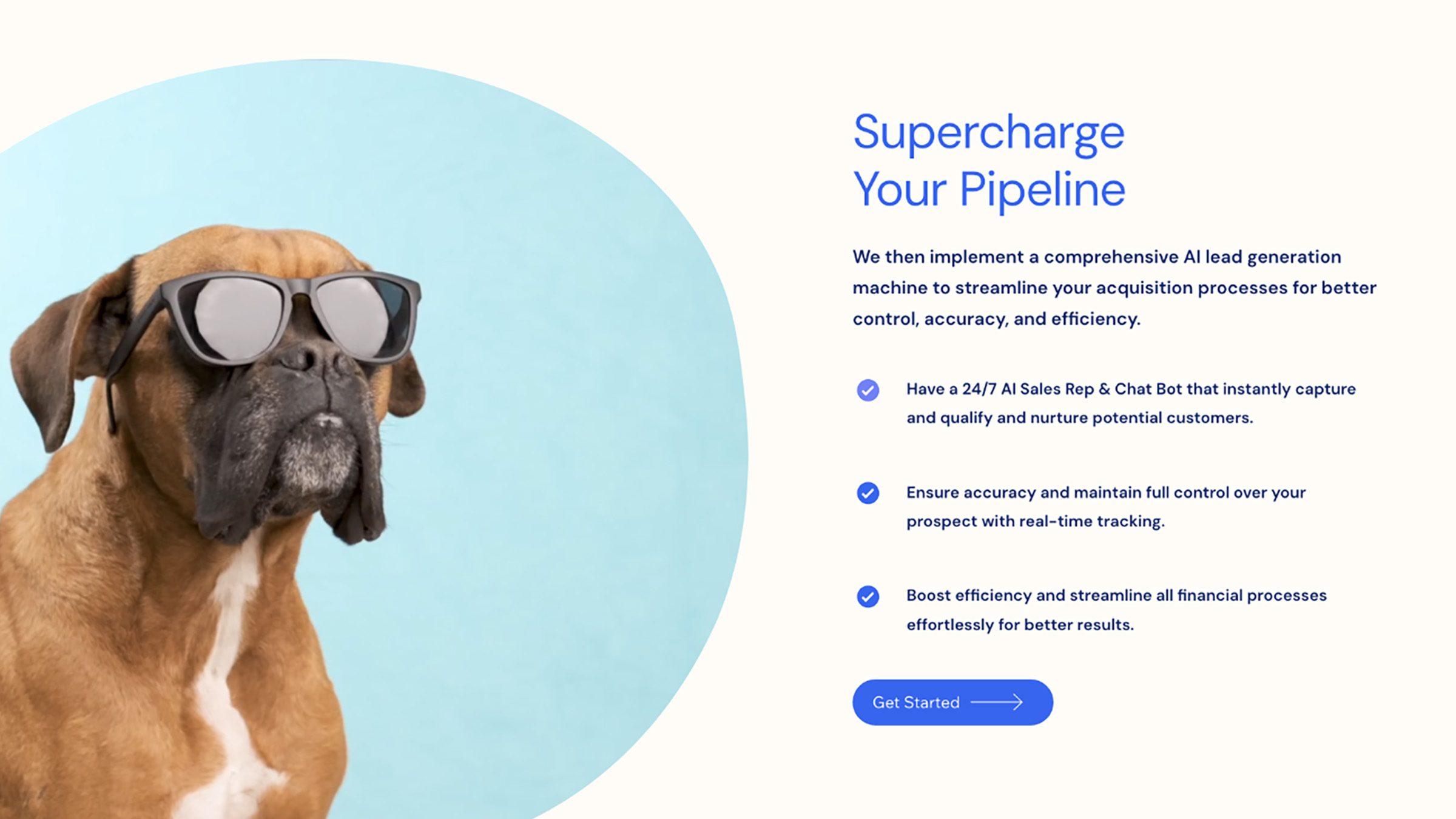 HeadVet website — Supercharge your pipeline