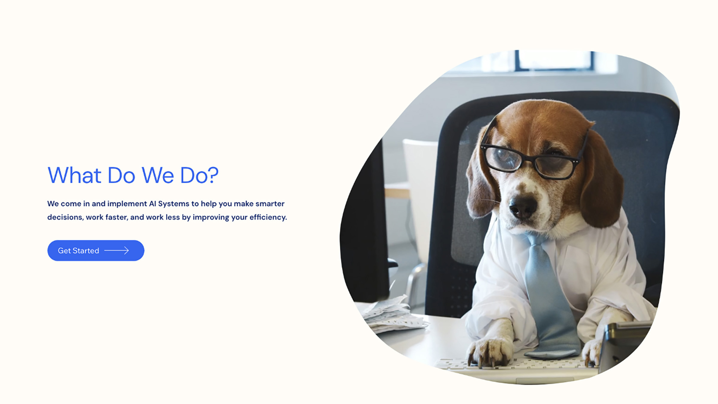 HeadVet website — What do we do